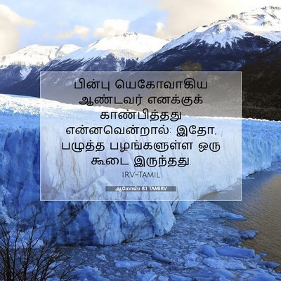 Picture 07 - ஆமோஸ் 8:1 TAMIRV - பின்பு யெகோவாகிய - Bible Verse Picture