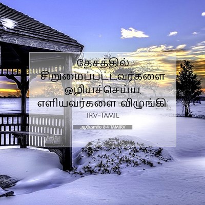 Picture 07 - ஆமோஸ் 8:4 TAMIRV - தேசத்தில் - Bible Verse Picture