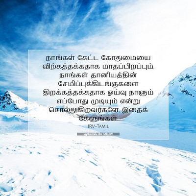 Picture 07 - ஆமோஸ் 8:6 TAMIRV - நாங்கள் கேட்ட - Bible Verse Picture