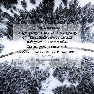 Picture 07 - ஆமோஸ் 9:10 TAMIRV - தீங்கு எங்களை - Bible Verse Picture