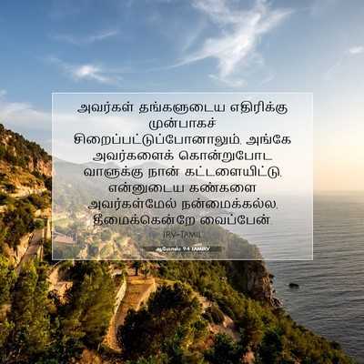 Picture 07 - ஆமோஸ் 9:4 TAMIRV - அவர்கள் தங்களுடைய - Bible Verse Picture