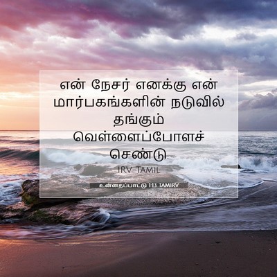 Picture 07 - உன்னதப்பாட்டு 1:13 TAMIRV - என் நேசர் எனக்கு - Bible Verse Picture