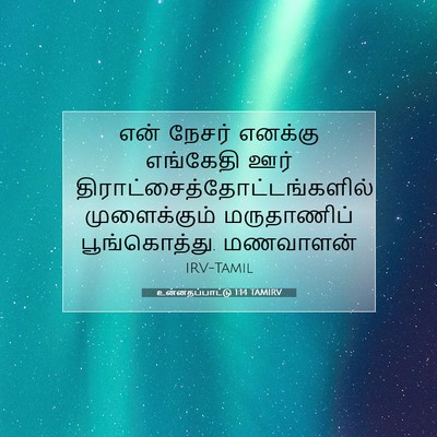Picture 07 - உன்னதப்பாட்டு 1:14 TAMIRV - என் நேசர் எனக்கு - Bible Verse Picture