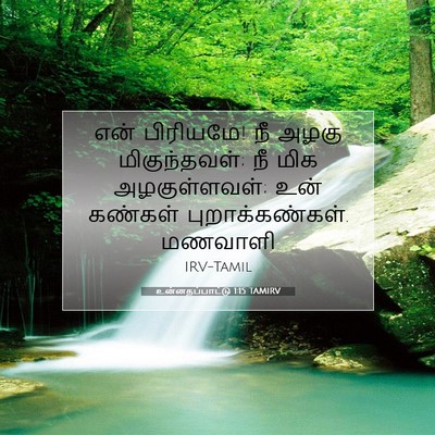 Picture 07 - உன்னதப்பாட்டு 1:15 TAMIRV - என் பிரியமே! நீ - Bible Verse Picture