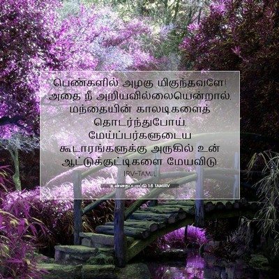 Picture 07 - உன்னதப்பாட்டு 1:8 TAMIRV - பெண்களில் அழகு - Bible Verse Picture