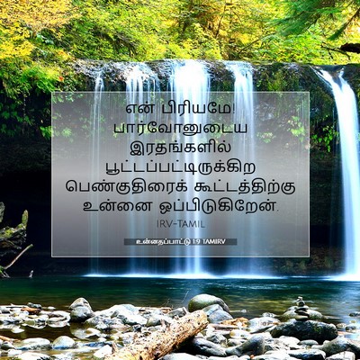 Picture 07 - உன்னதப்பாட்டு 1:9 TAMIRV - என் பிரியமே! - Bible Verse Picture