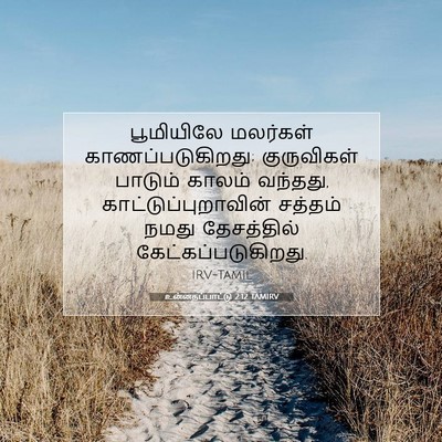 Picture 07 - உன்னதப்பாட்டு 2:12 TAMIRV - பூமியிலே மலர்கள் - Bible Verse Picture