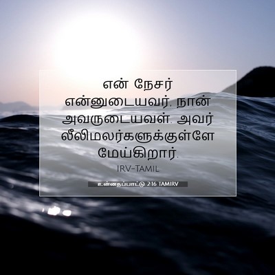 Picture 07 - உன்னதப்பாட்டு 2:16 TAMIRV - என் நேசர் - Bible Verse Picture