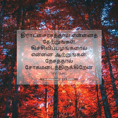 Picture 07 - உன்னதப்பாட்டு 2:5 TAMIRV - திராட்சைரசத்தால் - Bible Verse Picture