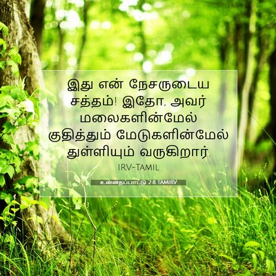 Picture 07 - உன்னதப்பாட்டு 2:8 TAMIRV - இது என் நேசருடைய - Bible Verse Picture