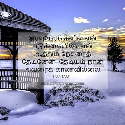 Picture 07 - உன்னதப்பாட்டு 3:1 TAMIRV - இரவுநேரங்களில் - Bible Verse Picture