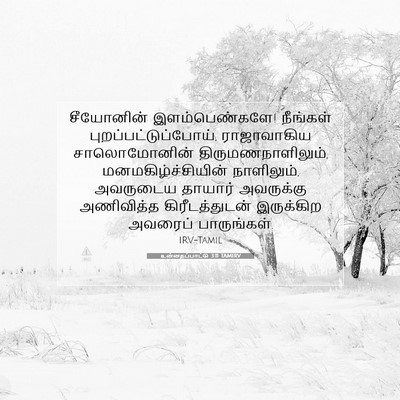 Picture 07 - உன்னதப்பாட்டு 3:11 TAMIRV - சீயோனின் - Bible Verse Picture