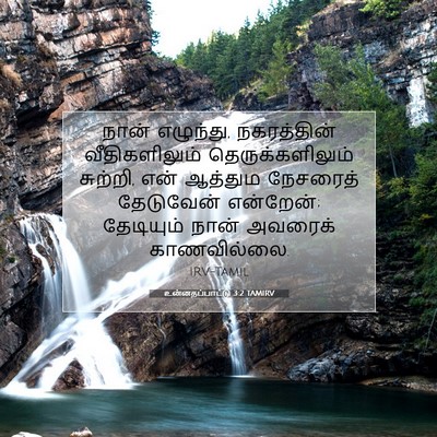 Picture 07 - உன்னதப்பாட்டு 3:2 TAMIRV - நான் எழுந்து, - Bible Verse Picture