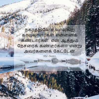 Picture 07 - உன்னதப்பாட்டு 3:3 TAMIRV - நகரத்திலே - Bible Verse Picture