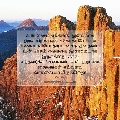 Picture 07 - உன்னதப்பாட்டு 4:10 TAMIRV - உன் நேசம் எவ்வளவு - Bible Verse Picture
