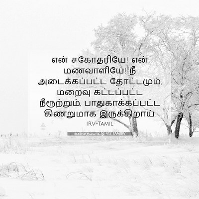 Picture 07 - உன்னதப்பாட்டு 4:12 TAMIRV - என் சகோதரியே! என் - Bible Verse Picture
