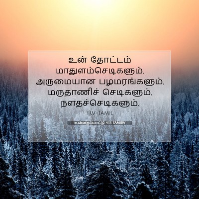 Picture 07 - உன்னதப்பாட்டு 4:13 TAMIRV - உன் தோட்டம் - Bible Verse Picture