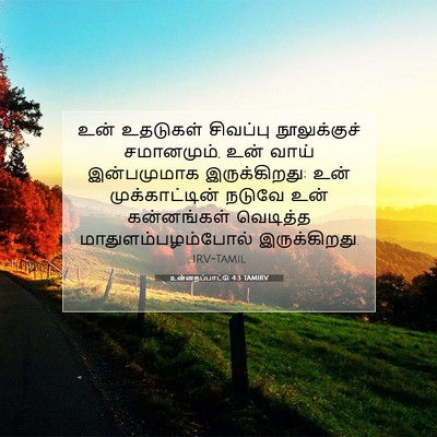 Picture 07 - உன்னதப்பாட்டு 4:3 TAMIRV - உன் உதடுகள் - Bible Verse Picture