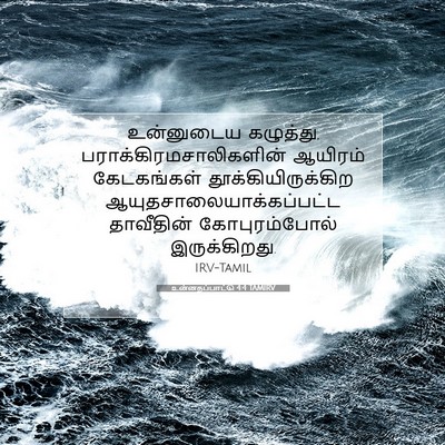Picture 07 - உன்னதப்பாட்டு 4:4 TAMIRV - உன்னுடைய கழுத்து, - Bible Verse Picture