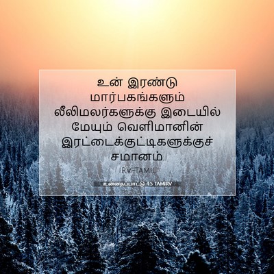 Picture 07 - உன்னதப்பாட்டு 4:5 TAMIRV - உன் இரண்டு - Bible Verse Picture