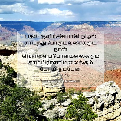 Picture 07 - உன்னதப்பாட்டு 4:6 TAMIRV - பகல் - Bible Verse Picture