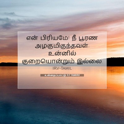Picture 07 - உன்னதப்பாட்டு 4:7 TAMIRV - என் பிரியமே! நீ - Bible Verse Picture