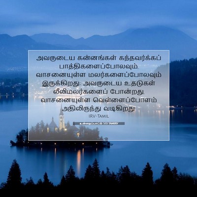 Picture 07 - உன்னதப்பாட்டு 5:13 TAMIRV - அவருடைய கன்னங்கள் - Bible Verse Picture