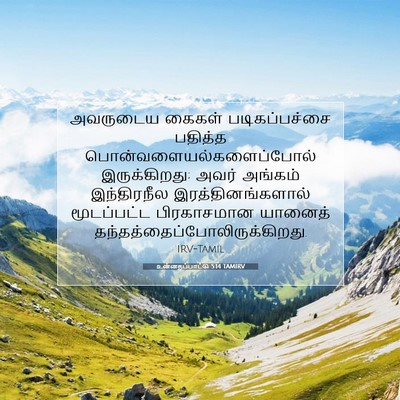 Picture 07 - உன்னதப்பாட்டு 5:14 TAMIRV - அவருடைய கைகள் - Bible Verse Picture
