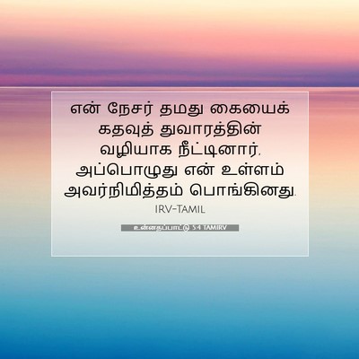 Picture 07 - உன்னதப்பாட்டு 5:4 TAMIRV - என் நேசர் தமது - Bible Verse Picture