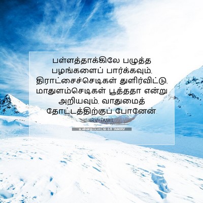 Picture 07 - உன்னதப்பாட்டு 6:11 TAMIRV - பள்ளத்தாக்கிலே - Bible Verse Picture