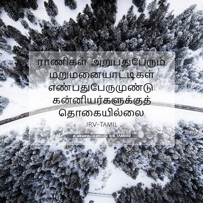 Picture 07 - உன்னதப்பாட்டு 6:8 TAMIRV - ராணிகள் - Bible Verse Picture
