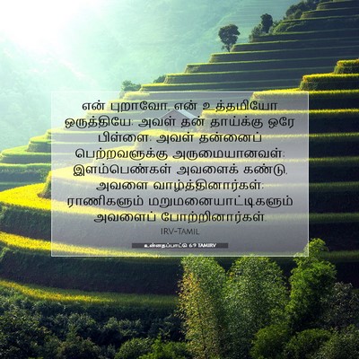 Picture 07 - உன்னதப்பாட்டு 6:9 TAMIRV - என் புறாவோ, என் - Bible Verse Picture