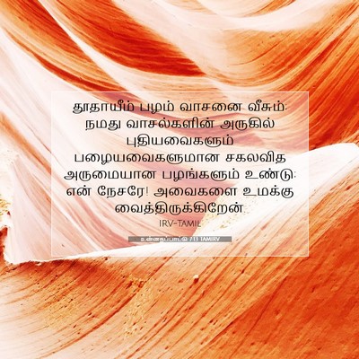 Picture 07 - உன்னதப்பாட்டு 7:13 TAMIRV - தூதாயீம் பழம் - Bible Verse Picture