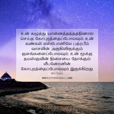 Picture 07 - உன்னதப்பாட்டு 7:4 TAMIRV - உன் கழுத்து - Bible Verse Picture