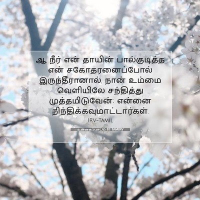 Picture 07 - உன்னதப்பாட்டு 8:1 TAMIRV - ஆ, நீர் என் தாயின் - Bible Verse Picture