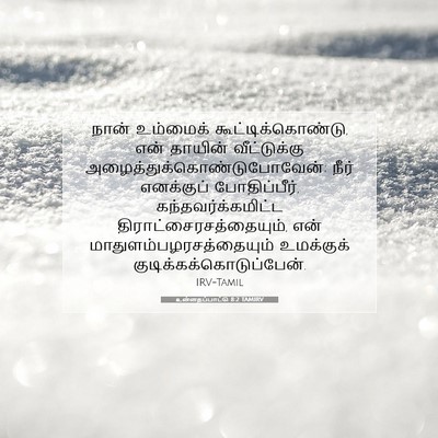 Picture 07 - உன்னதப்பாட்டு 8:2 TAMIRV - நான் உம்மைக் - Bible Verse Picture