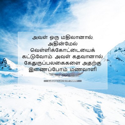 Picture 07 - உன்னதப்பாட்டு 8:9 TAMIRV - அவள் ஒரு - Bible Verse Picture