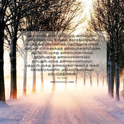Picture 07 - உபாகமம் 1:15 TAMIRV - ஆகையால் நான் - Bible Verse Picture