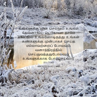 Picture 07 - உபாகமம் 1:30 TAMIRV - உங்களுக்கு முன் - Bible Verse Picture