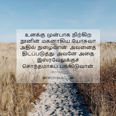 Picture 07 - உபாகமம் 1:38 TAMIRV - உனக்கு முன்பாக - Bible Verse Picture
