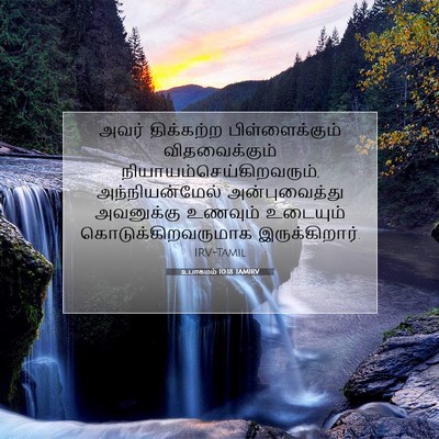 Picture 07 - உபாகமம் 10:18 TAMIRV - அவர் திக்கற்ற - Bible Verse Picture
