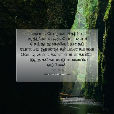 Picture 07 - உபாகமம் 10:3 TAMIRV - அப்படியே நான் - Bible Verse Picture