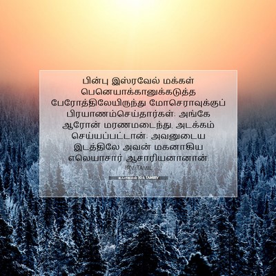 Picture 07 - உபாகமம் 10:6 TAMIRV - பின்பு இஸ்ரவேல் - Bible Verse Picture