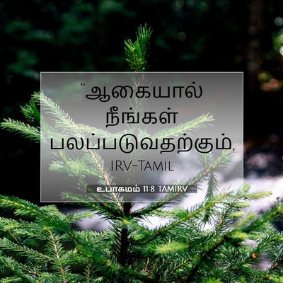 Picture 07 - உபாகமம் 11:8 TAMIRV - “ஆகையால் நீங்கள் - Bible Verse Picture