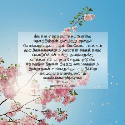 Picture 07 - உபாகமம் 11:9 TAMIRV - நீங்கள் - Bible Verse Picture