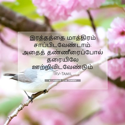 Picture 07 - உபாகமம் 12:16 TAMIRV - இரத்தத்தை - Bible Verse Picture