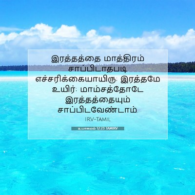 Picture 07 - உபாகமம் 12:23 TAMIRV - இரத்தத்தை - Bible Verse Picture