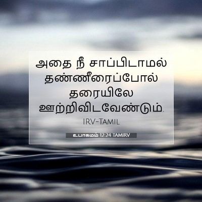 Picture 07 - உபாகமம் 12:24 TAMIRV - அதை நீ - Bible Verse Picture