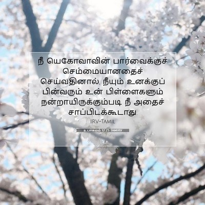 Picture 07 - உபாகமம் 12:25 TAMIRV - நீ யெகோவாவின் - Bible Verse Picture