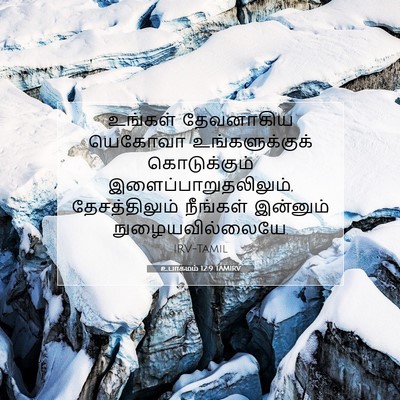 Picture 07 - உபாகமம் 12:9 TAMIRV - உங்கள் தேவனாகிய - Bible Verse Picture